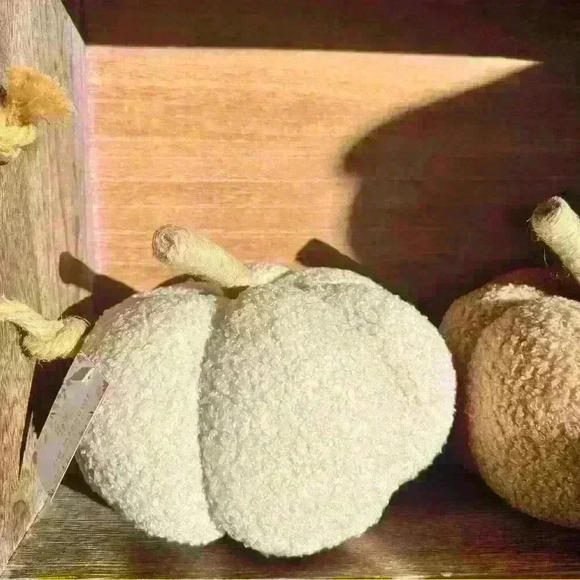 NEW Teddy Bear Fuzzy Pumpkin Fall Home Decor - So Soft and So Stinking Cute! - Picture 7 of 7
